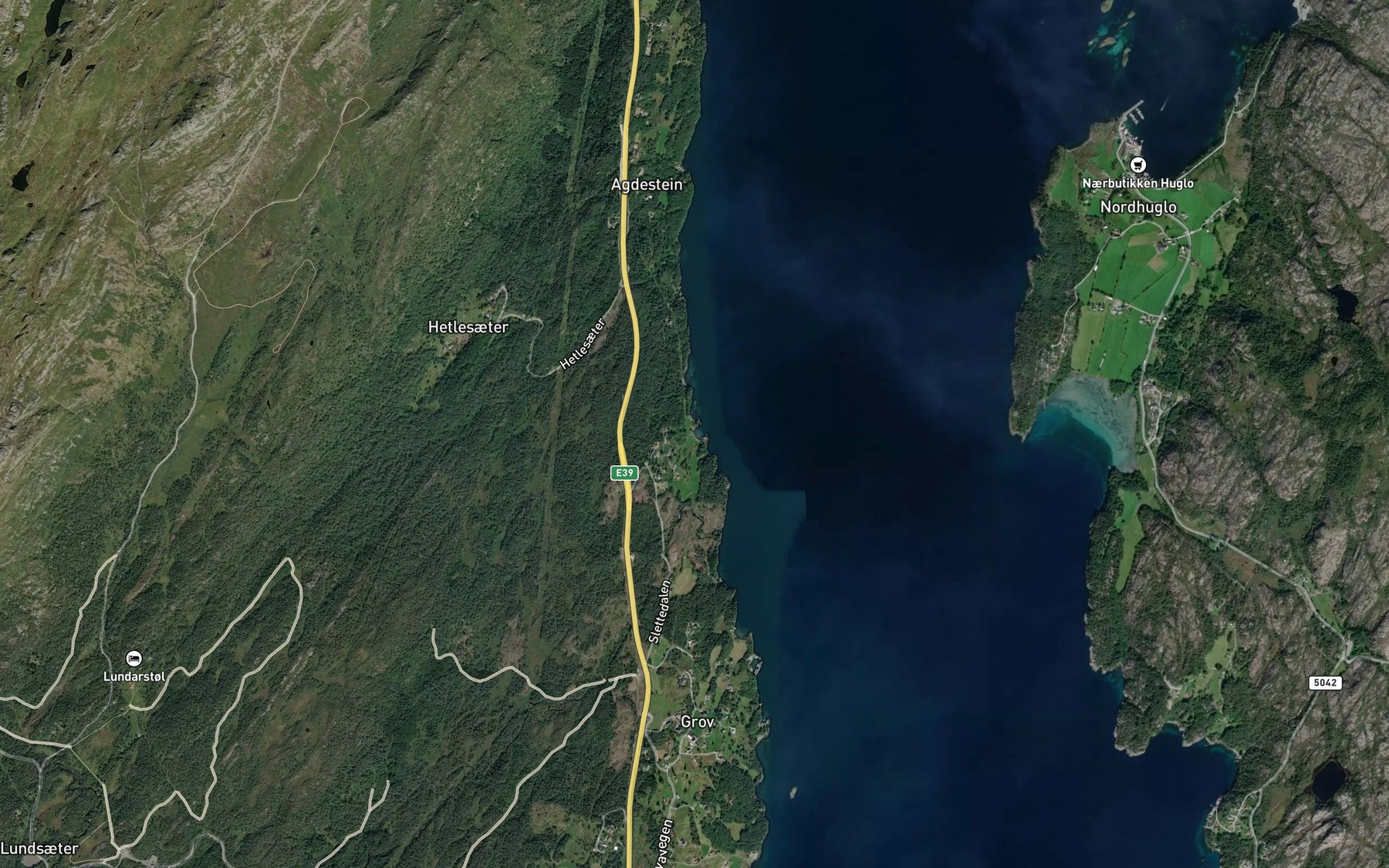 Satellite map of the Boravika