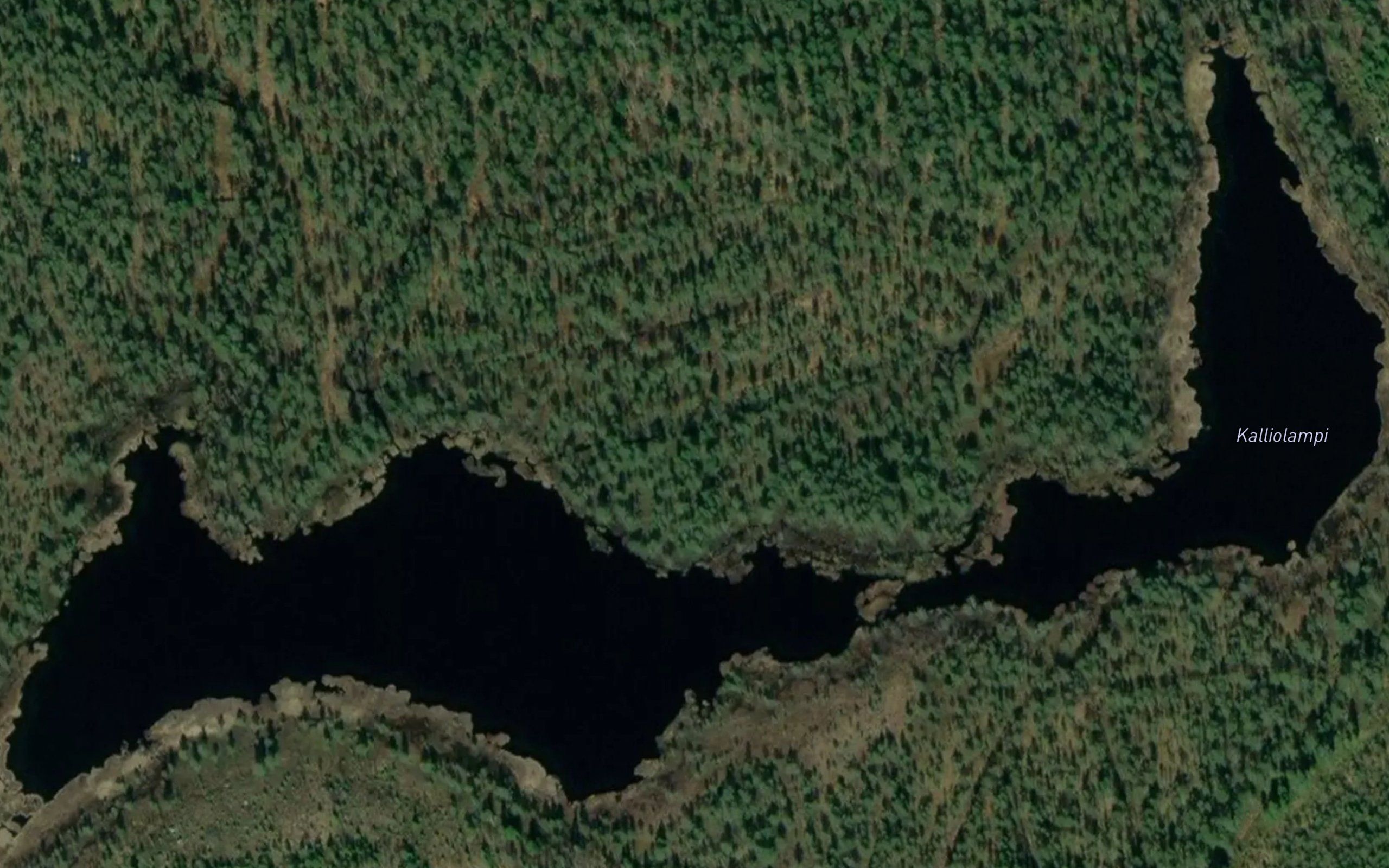 Kalliolampi
