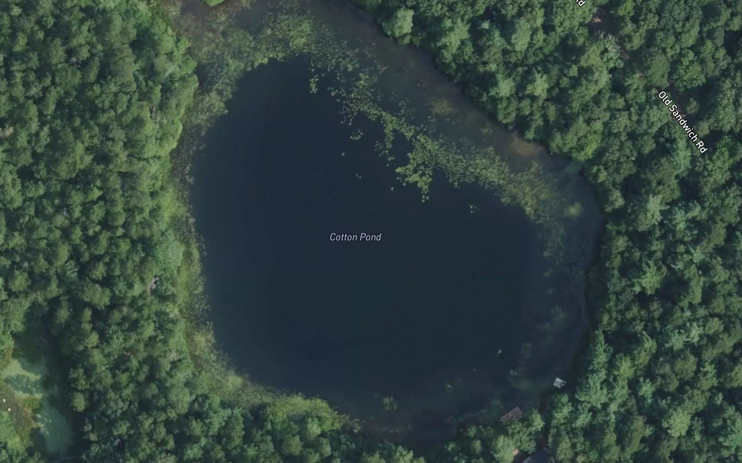 Cotton Pond