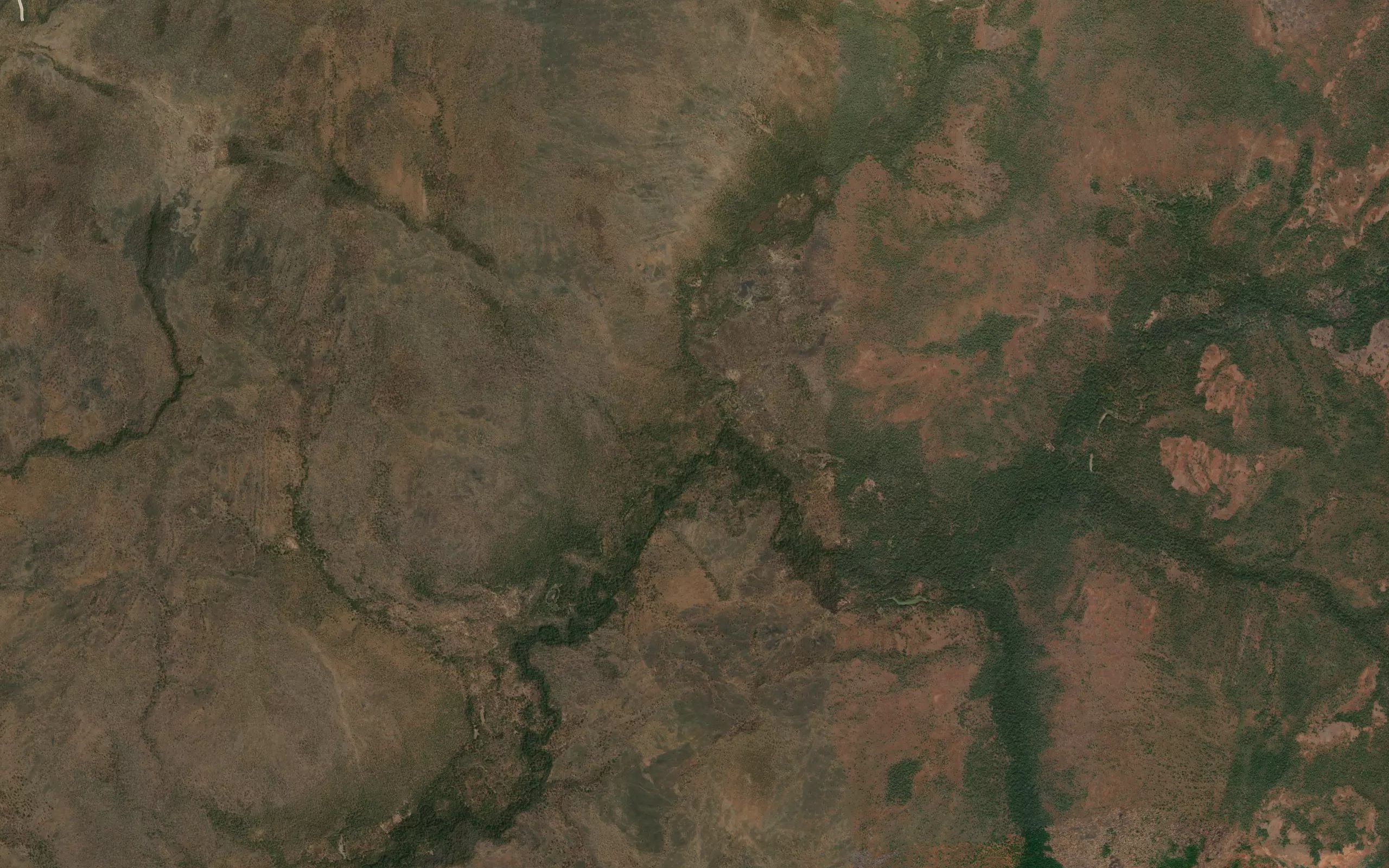Kelele