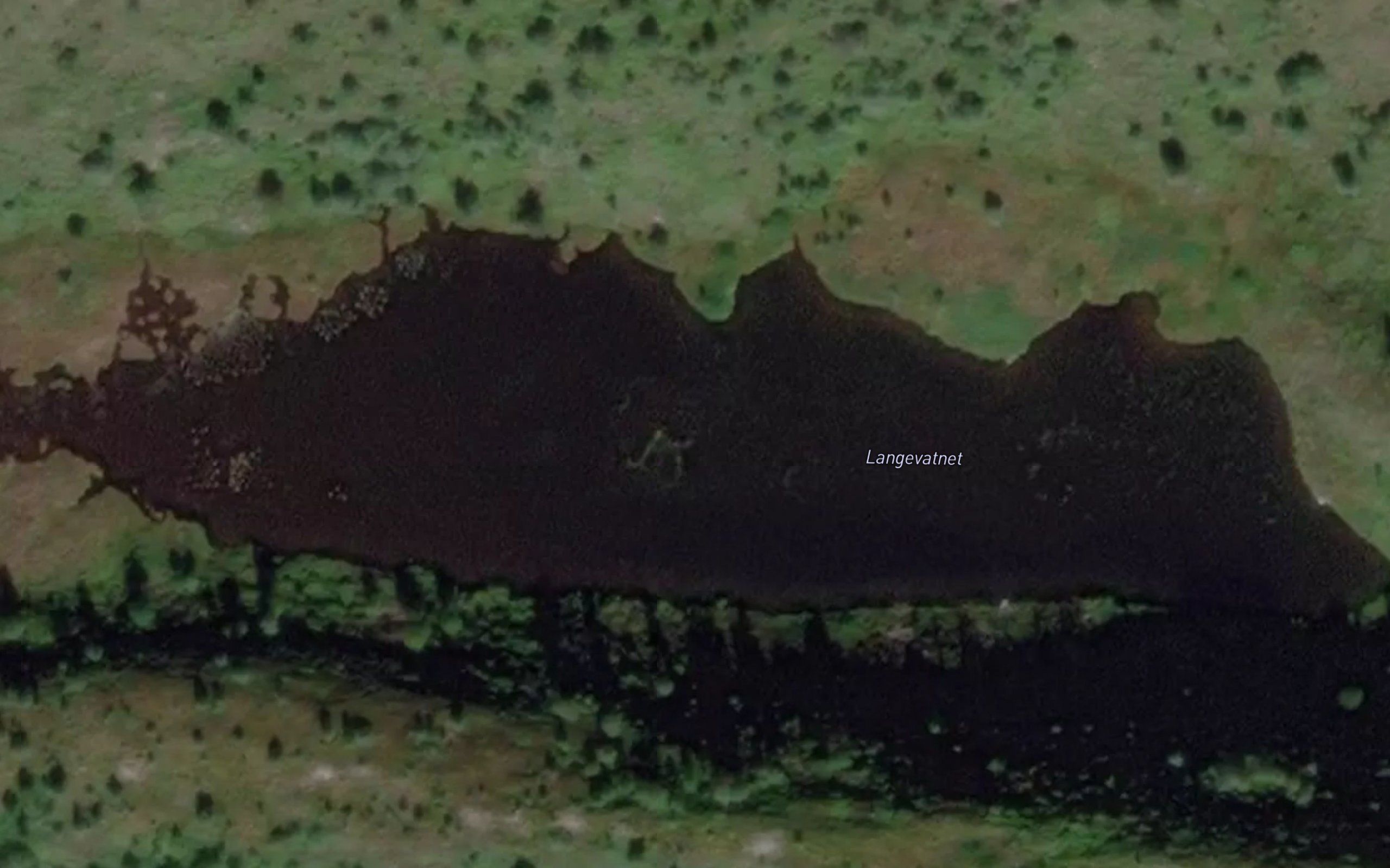 Langevatnet