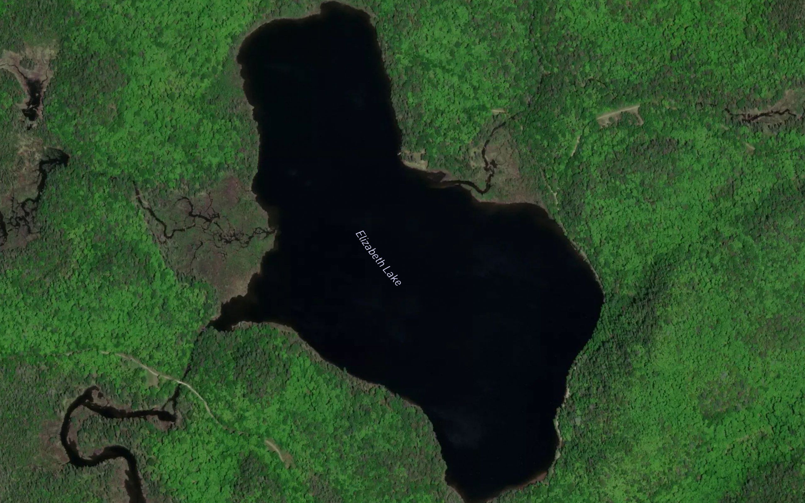 Elizabeth Lake