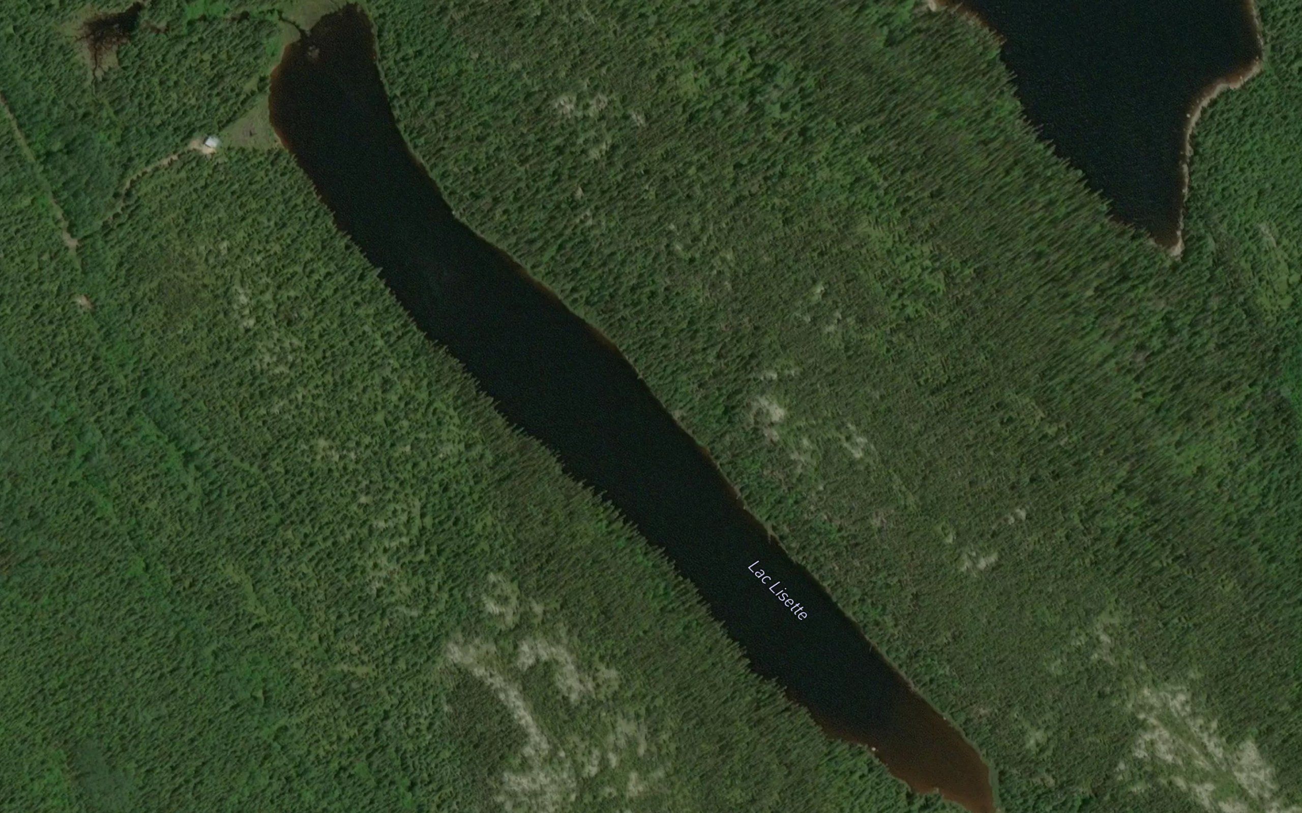 Lac Lisette