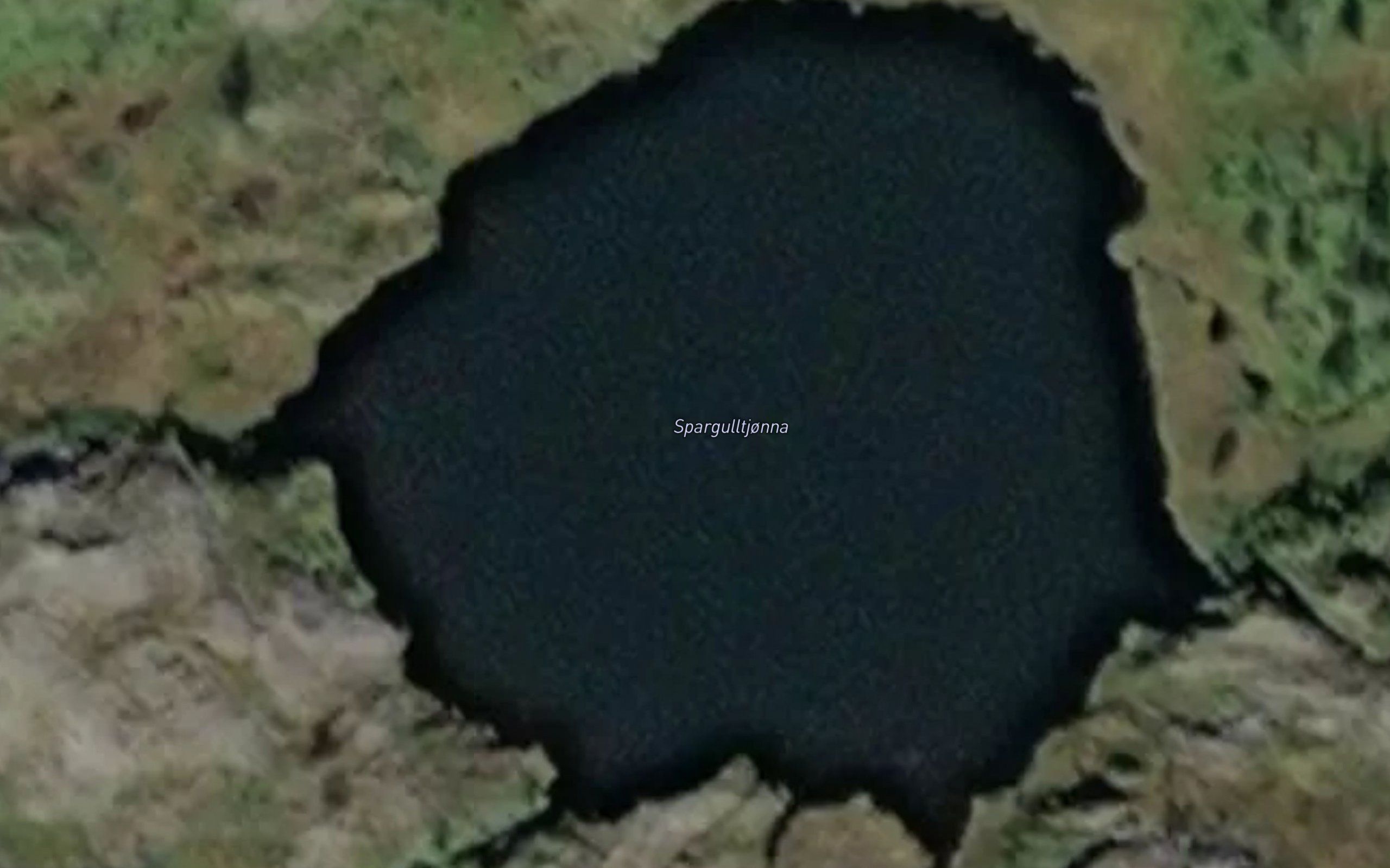Spargulltjorna
