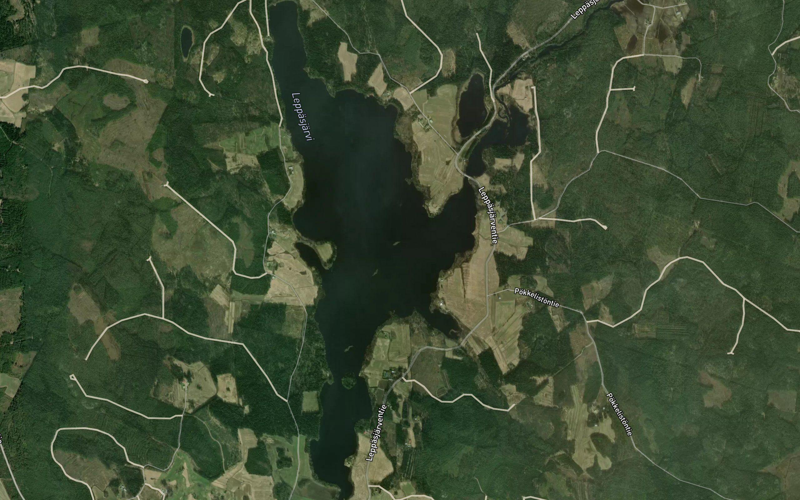 Leppasjarvi