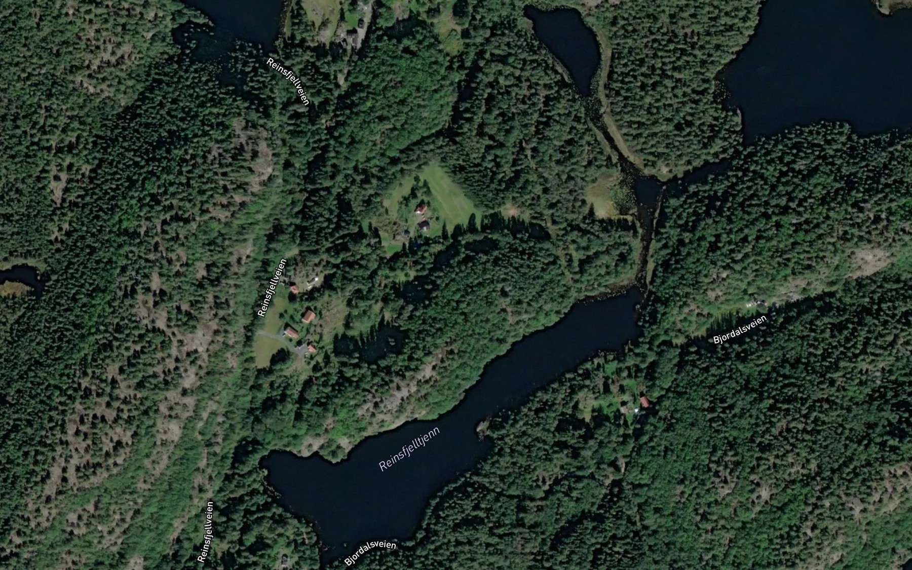 Satellite map of the Reinsfjelltjenn