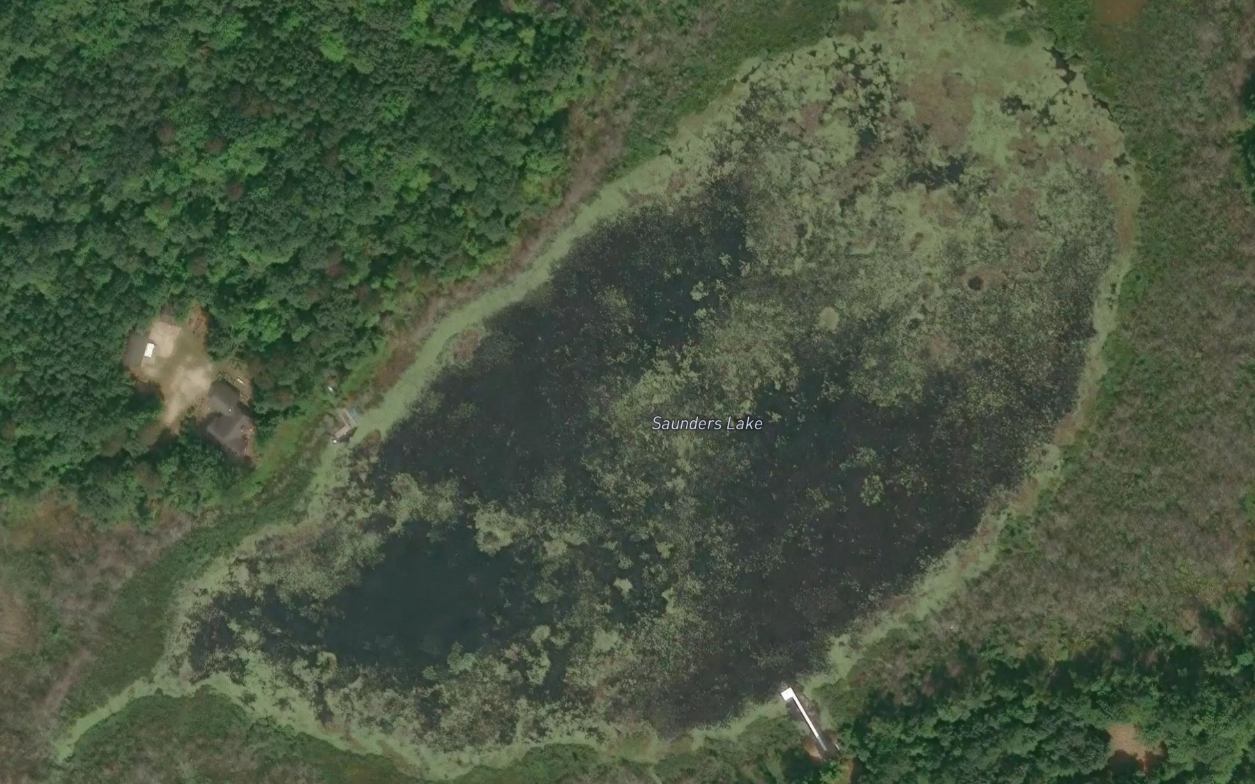 Satellite map of the Saunders Lake