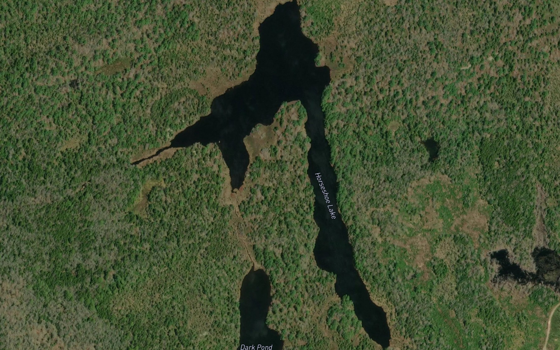 Satellite map of the Horseshoe Lake