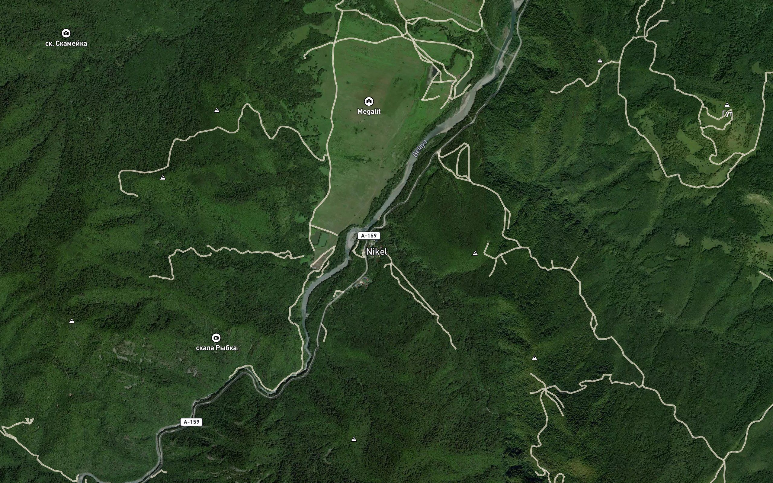 Syuk