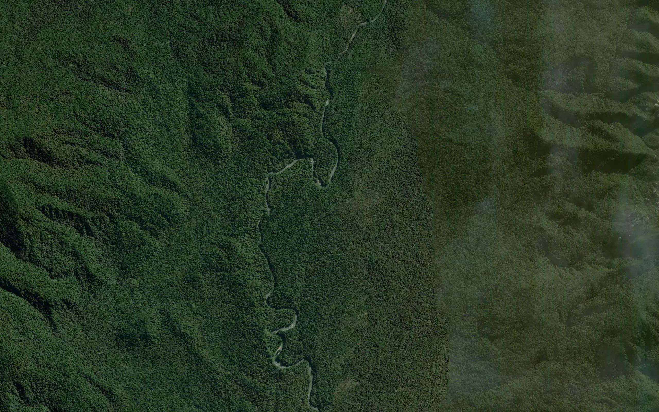 Wairere Stream