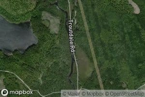 Moxie Bog