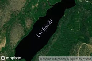 Lac Bambi