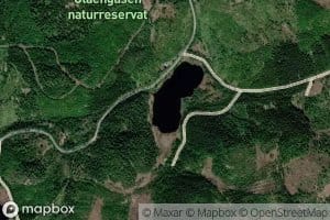 Sjurstjorna