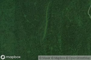 Satellite map of the Bear Lake
