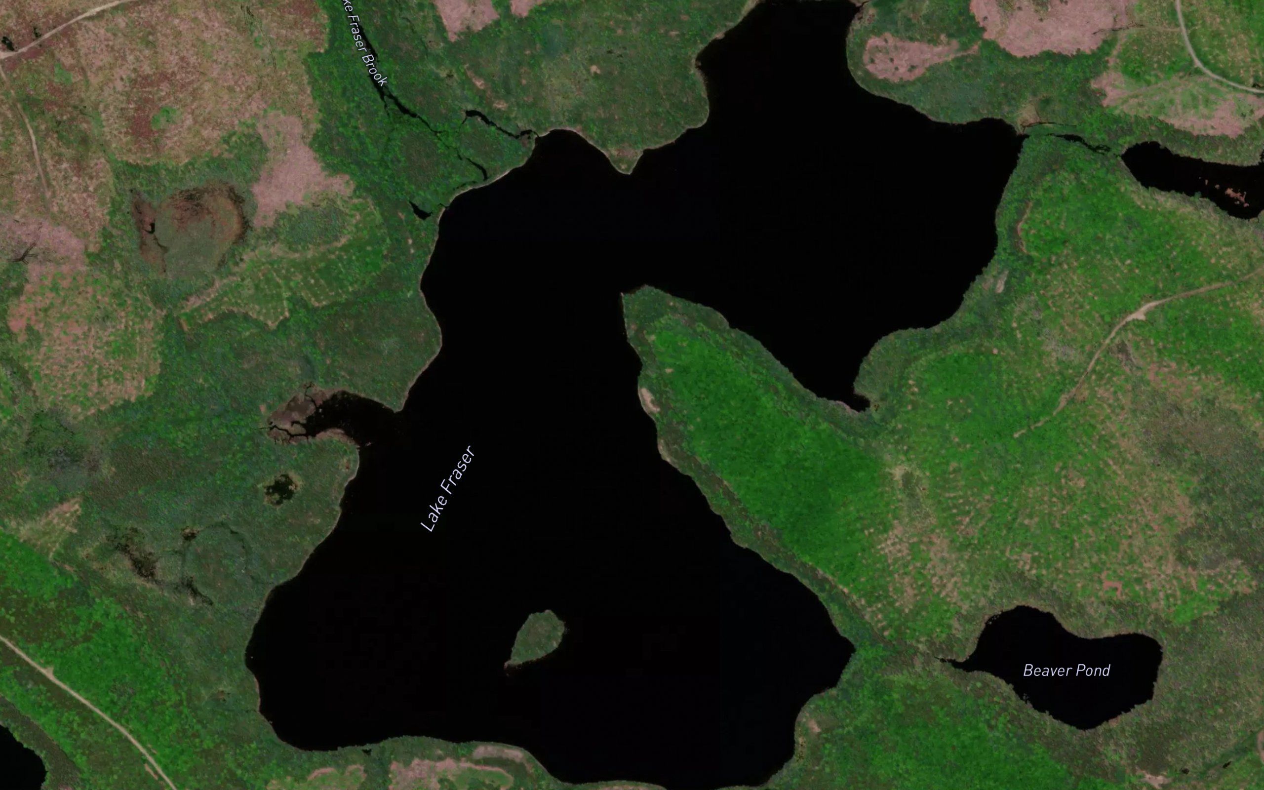 Lake Fraser