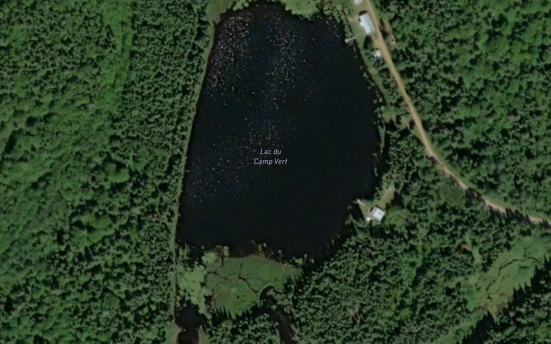 Satellite map of the Lac du Camp Vert