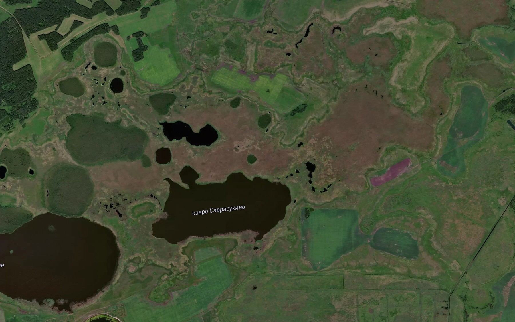 Satellite map of the Ozero Savrasukhino