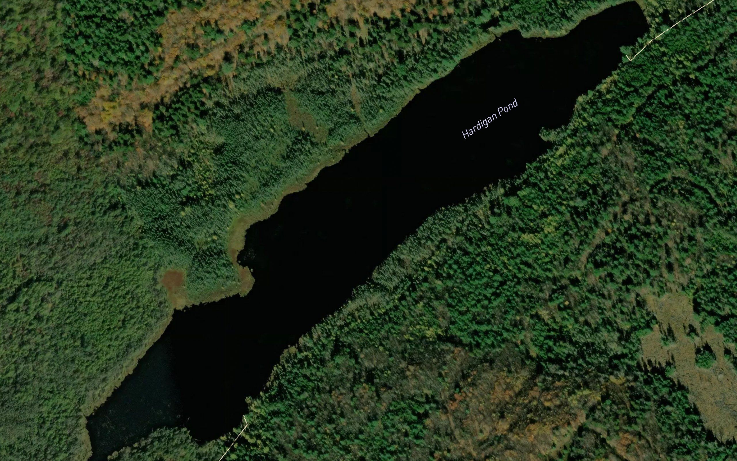 Hardigan Pond