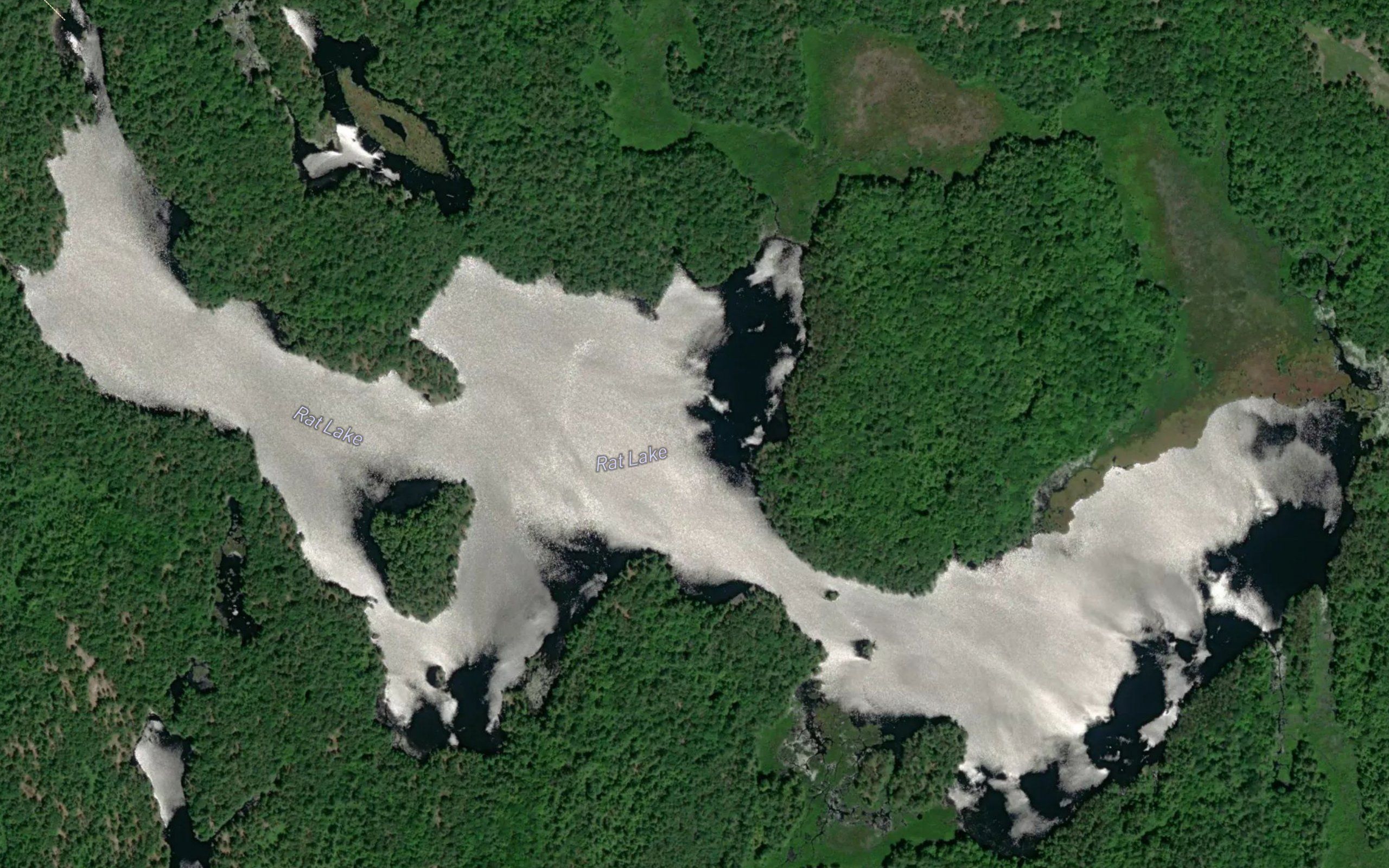 Rat Lake