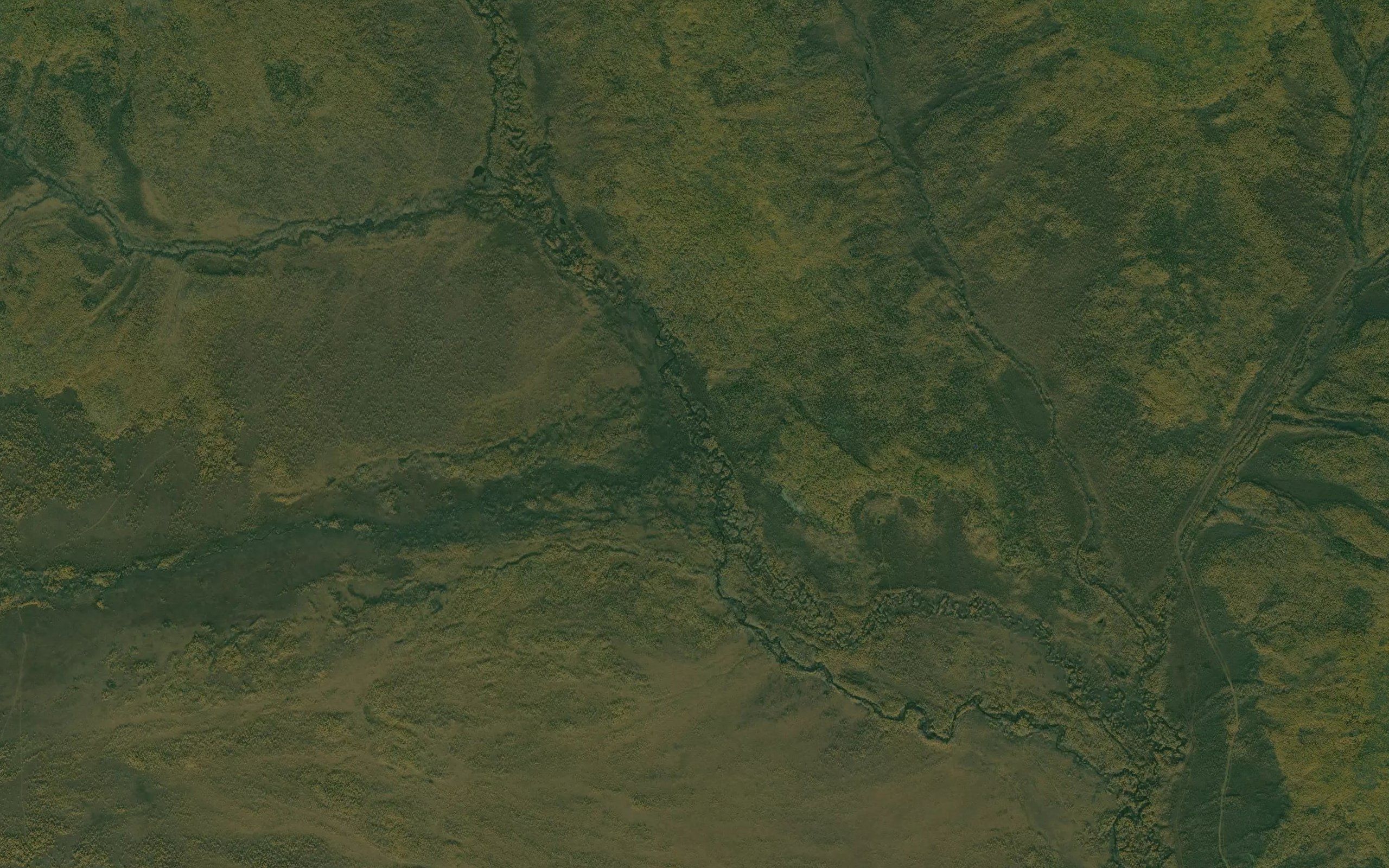 Vyazkiy