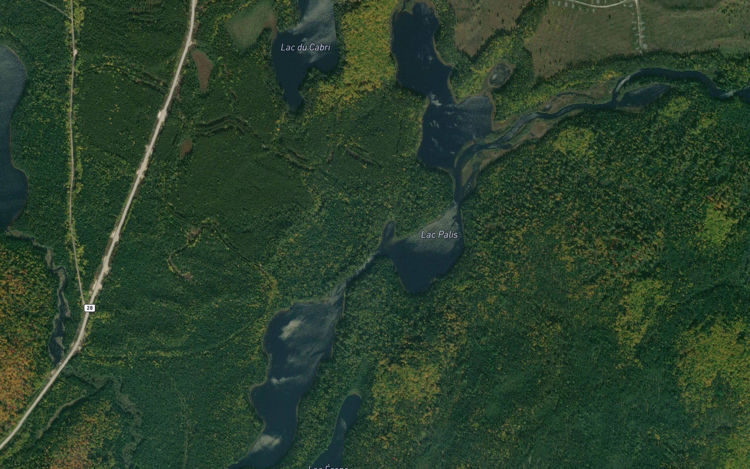 Lac Palis