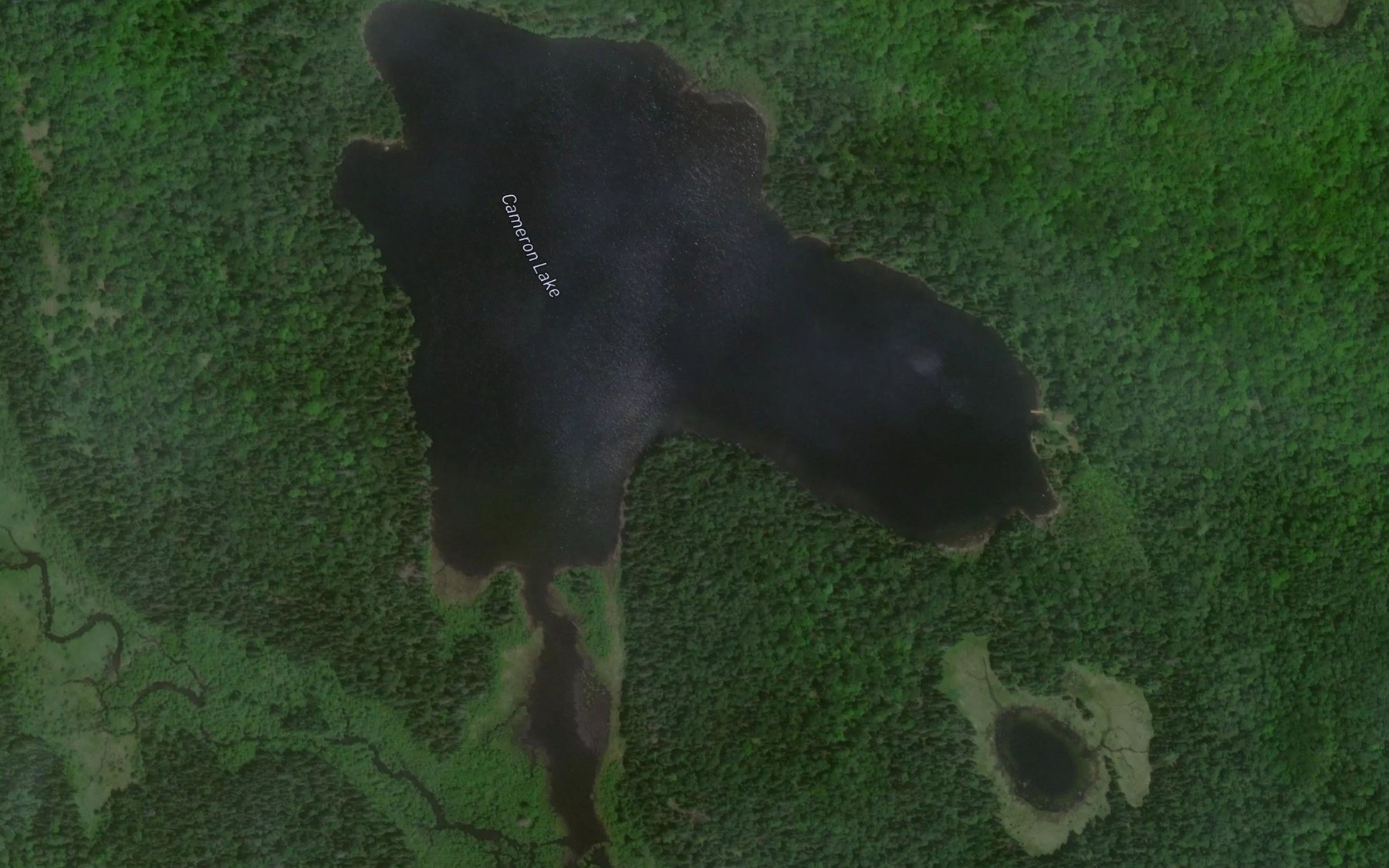 Satellite map of the Cameron Lake