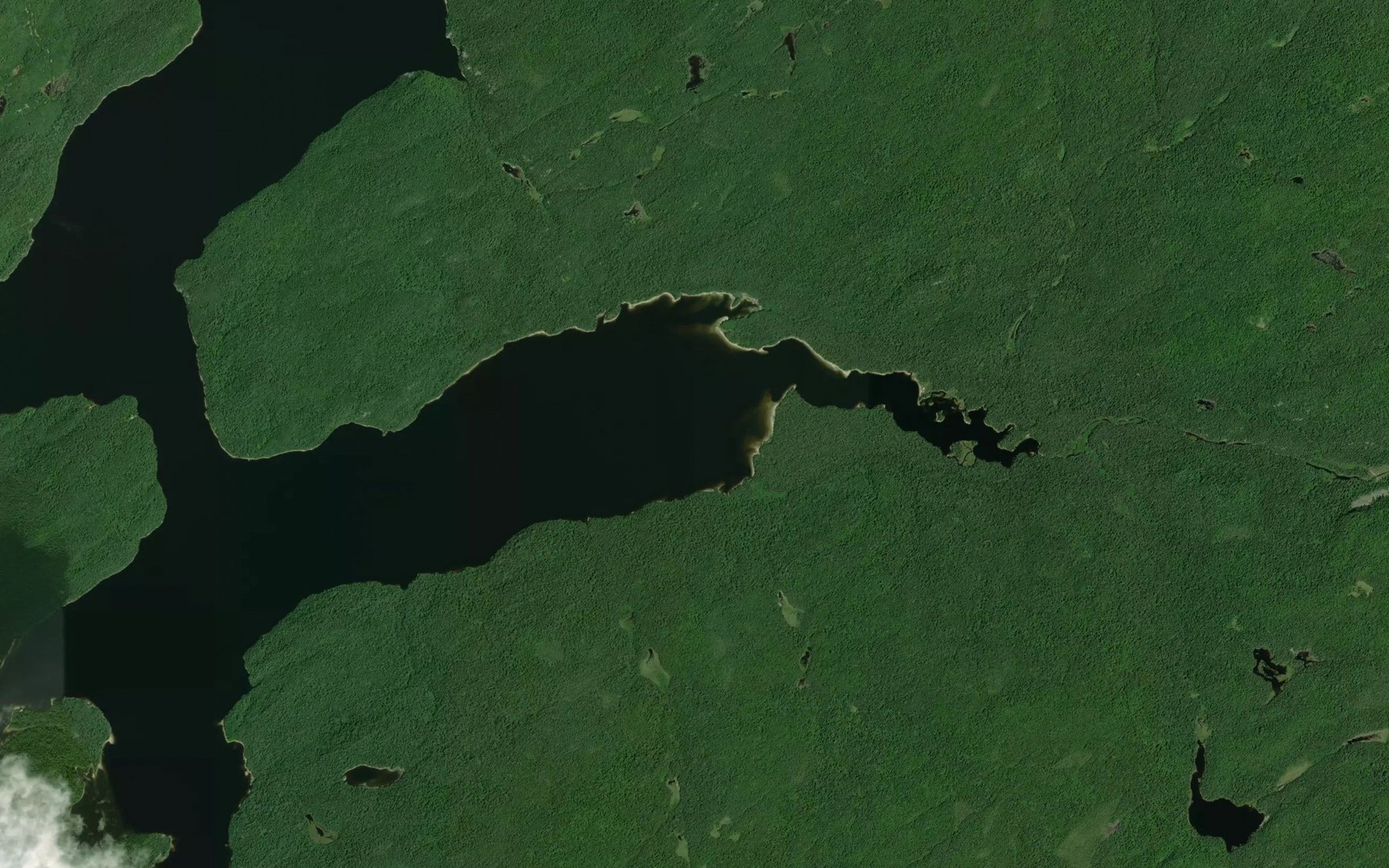 Satellite map of the Boisey Creek