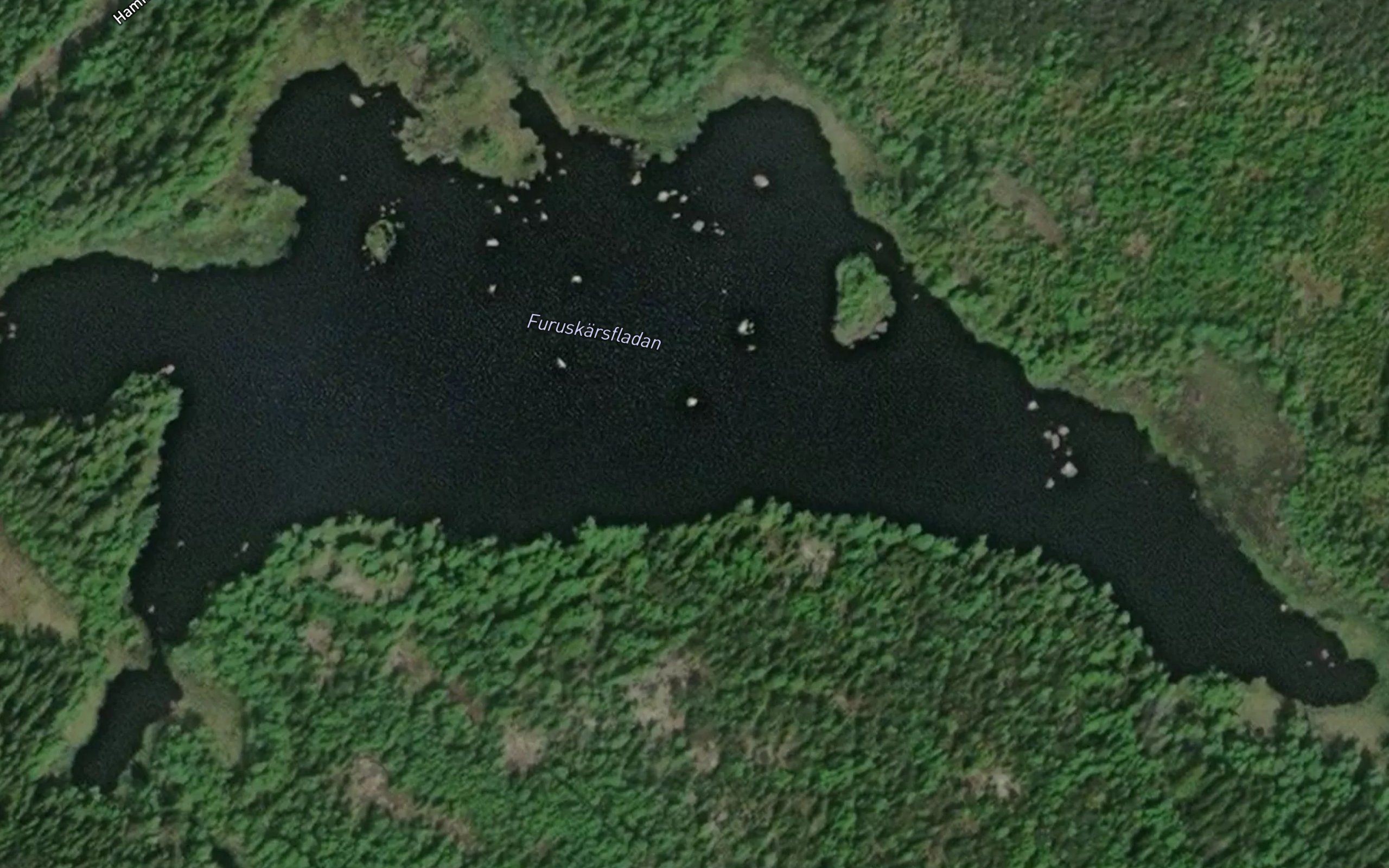 Furuskarsfladan