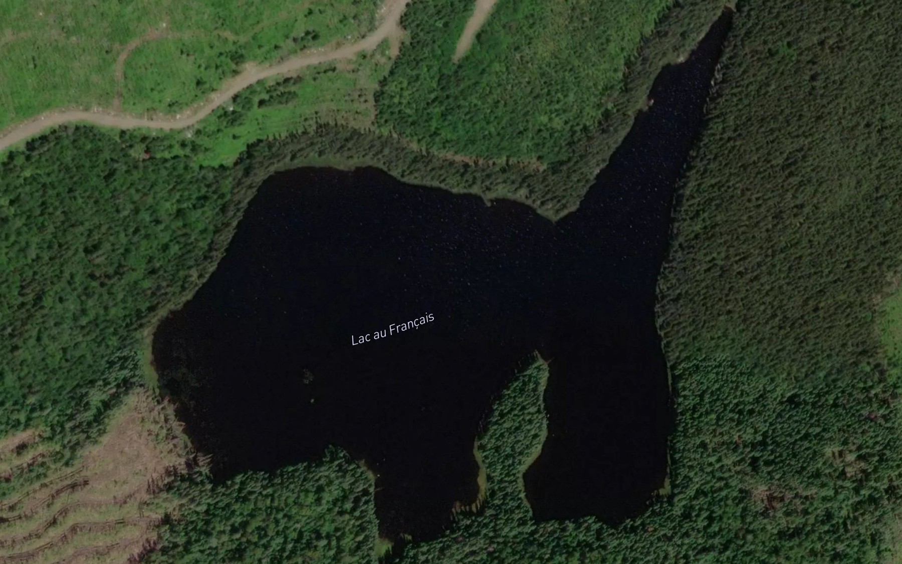 Satellite map of the Lac au Francais