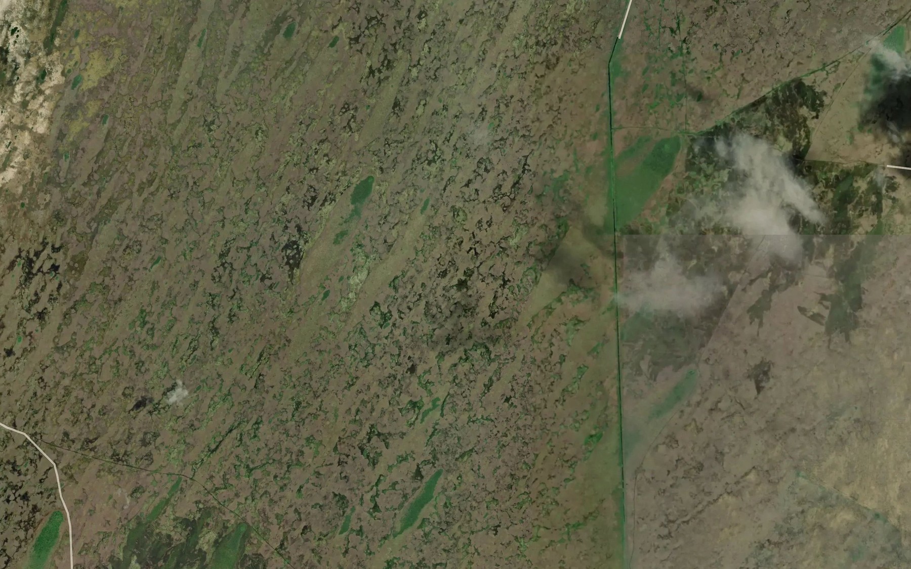 Satellite map of the Shark River Slough