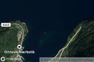 Ortnevika