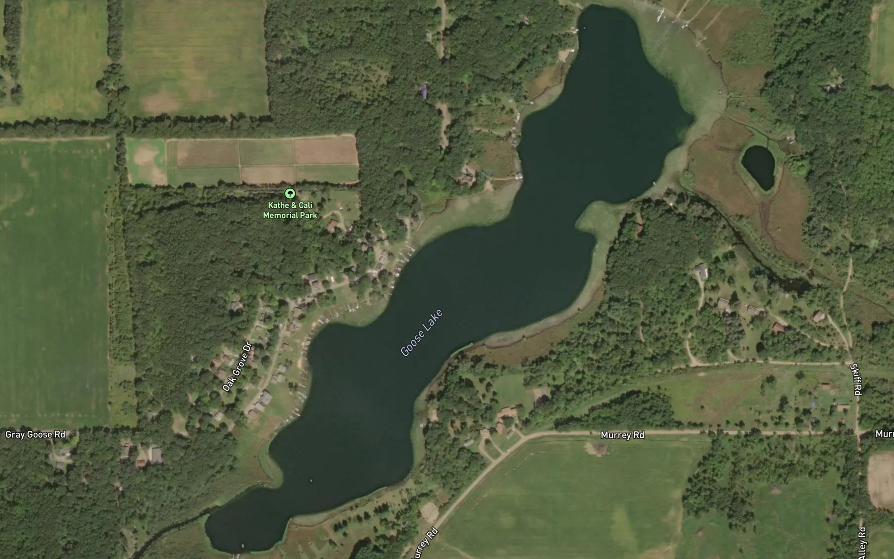 Satellite map of the Goose Lake