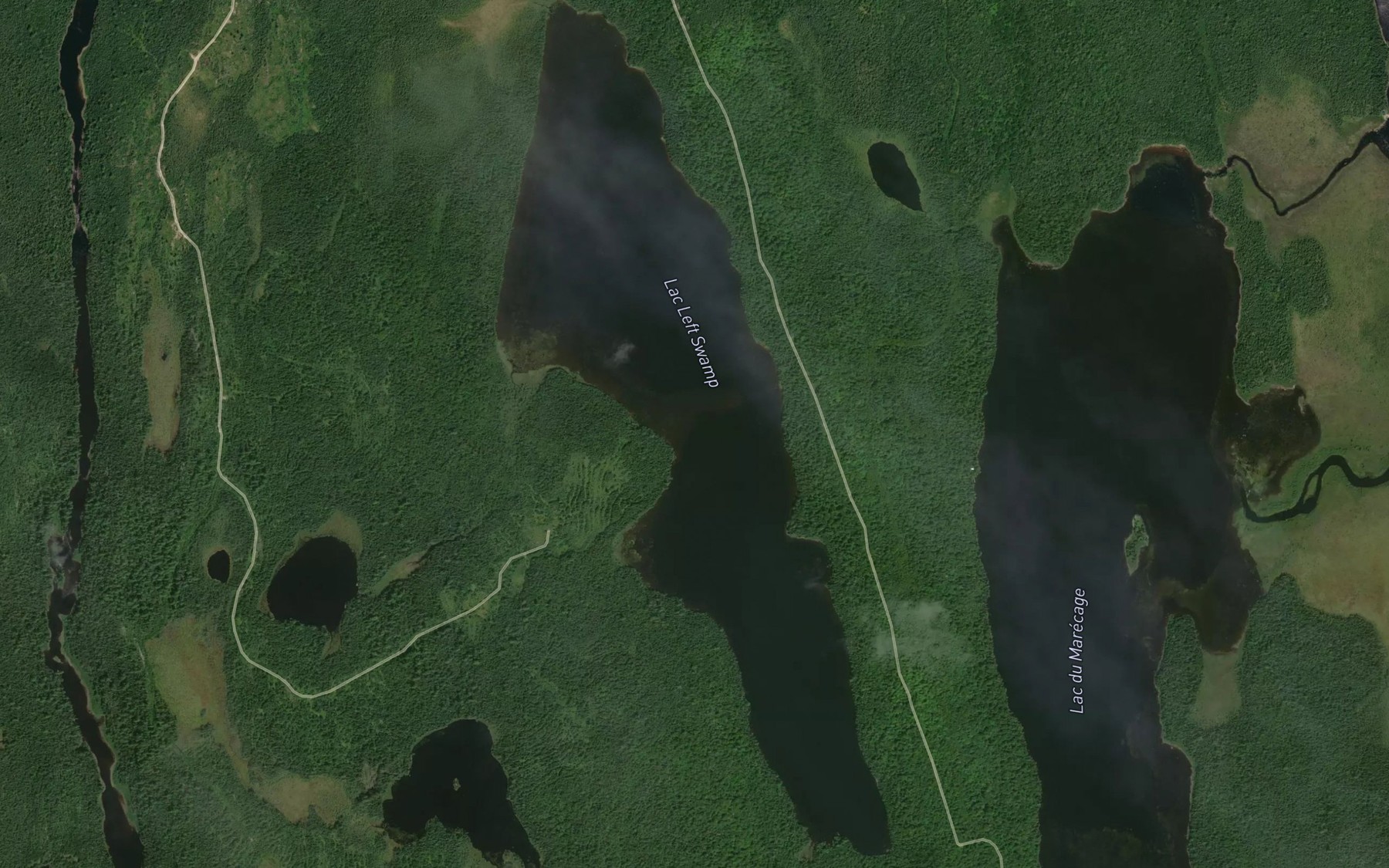 Satellite map of the Lac Left Swamp