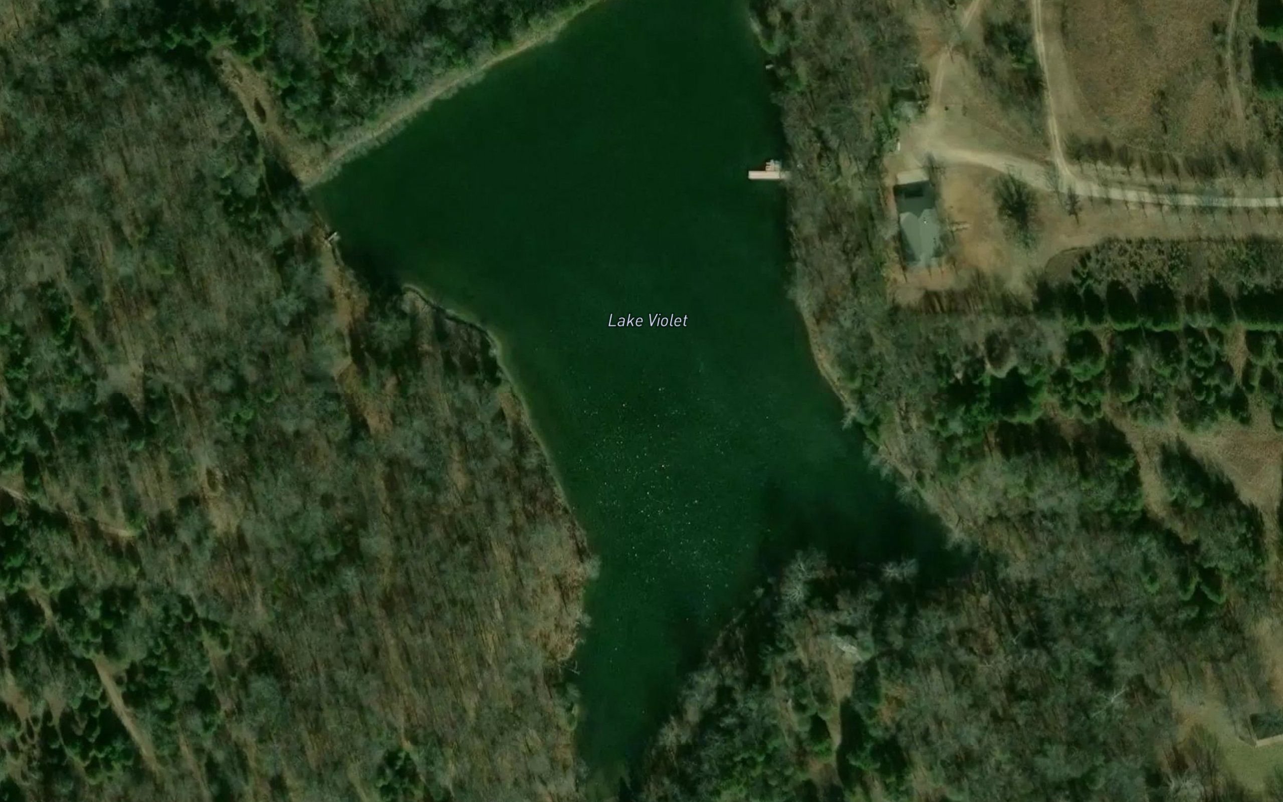 Lake Violet