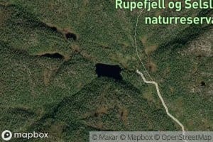Raeplitjonn