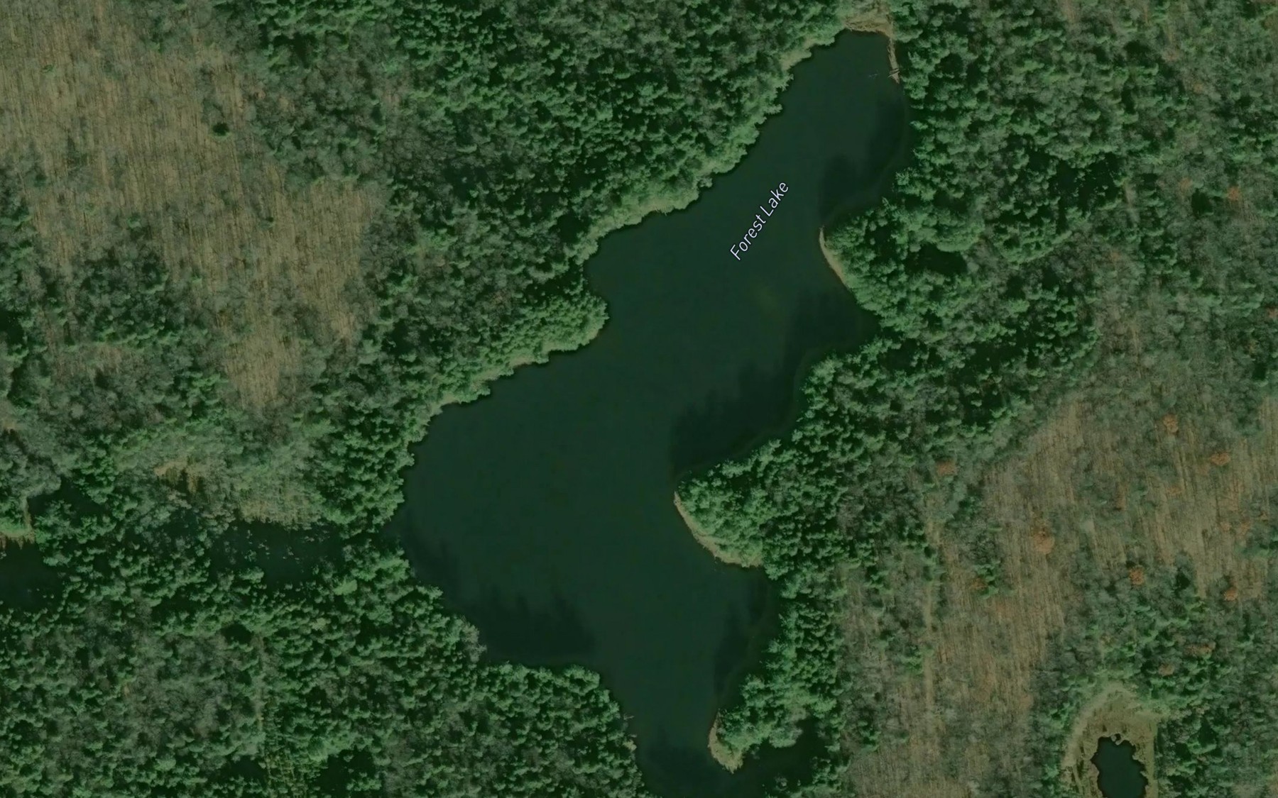 Satellite map of the Forest Lake