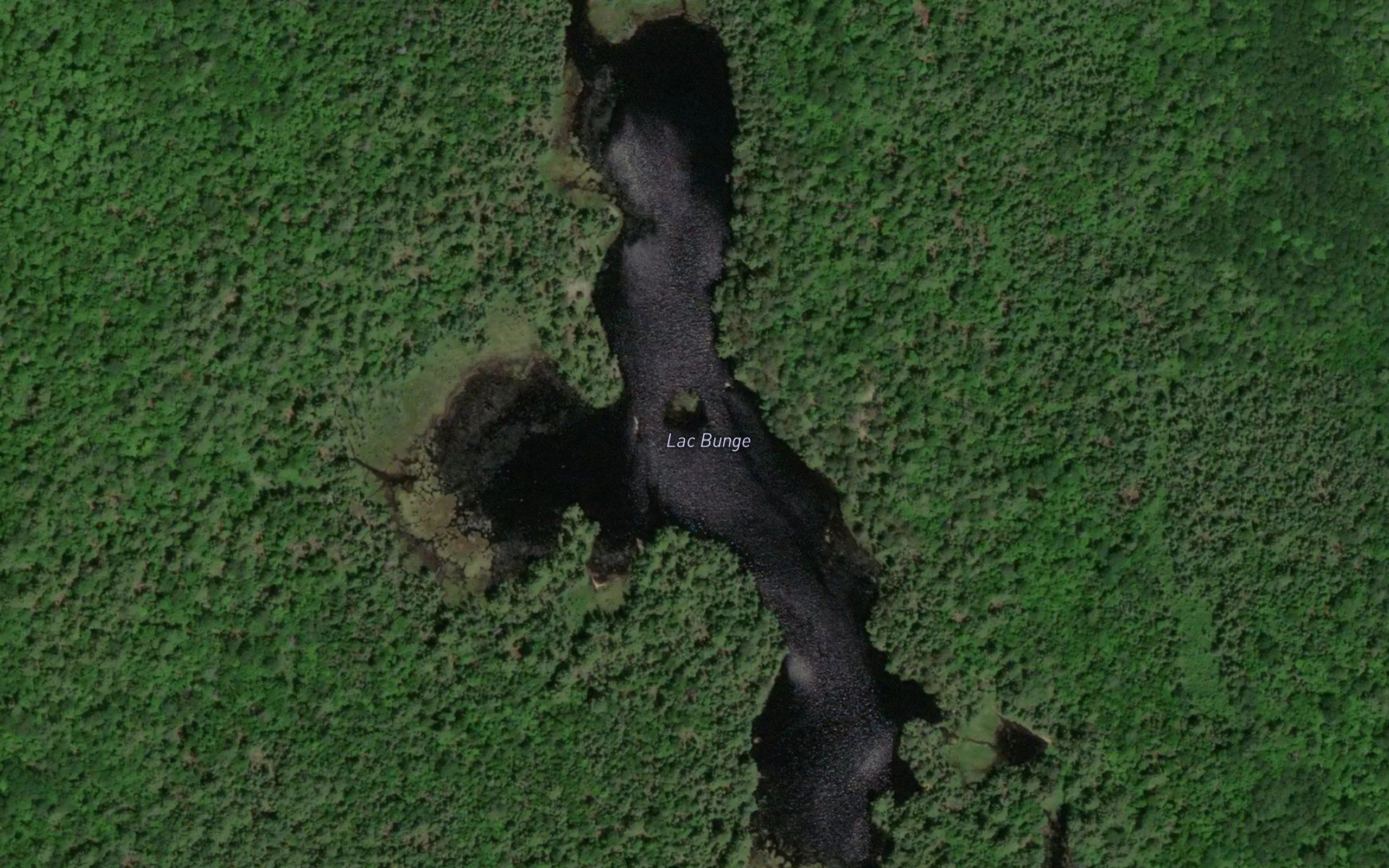 Lac Bunge