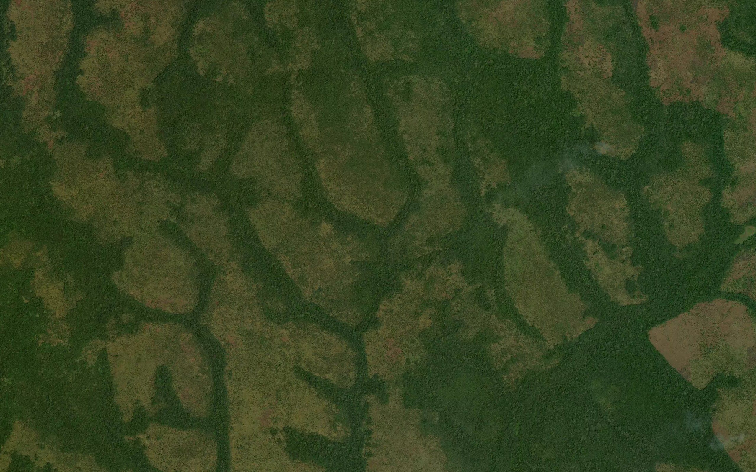 Akakuru