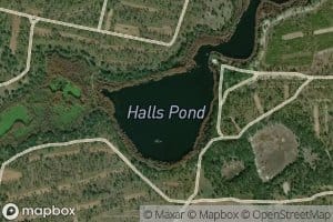 Halls Pond