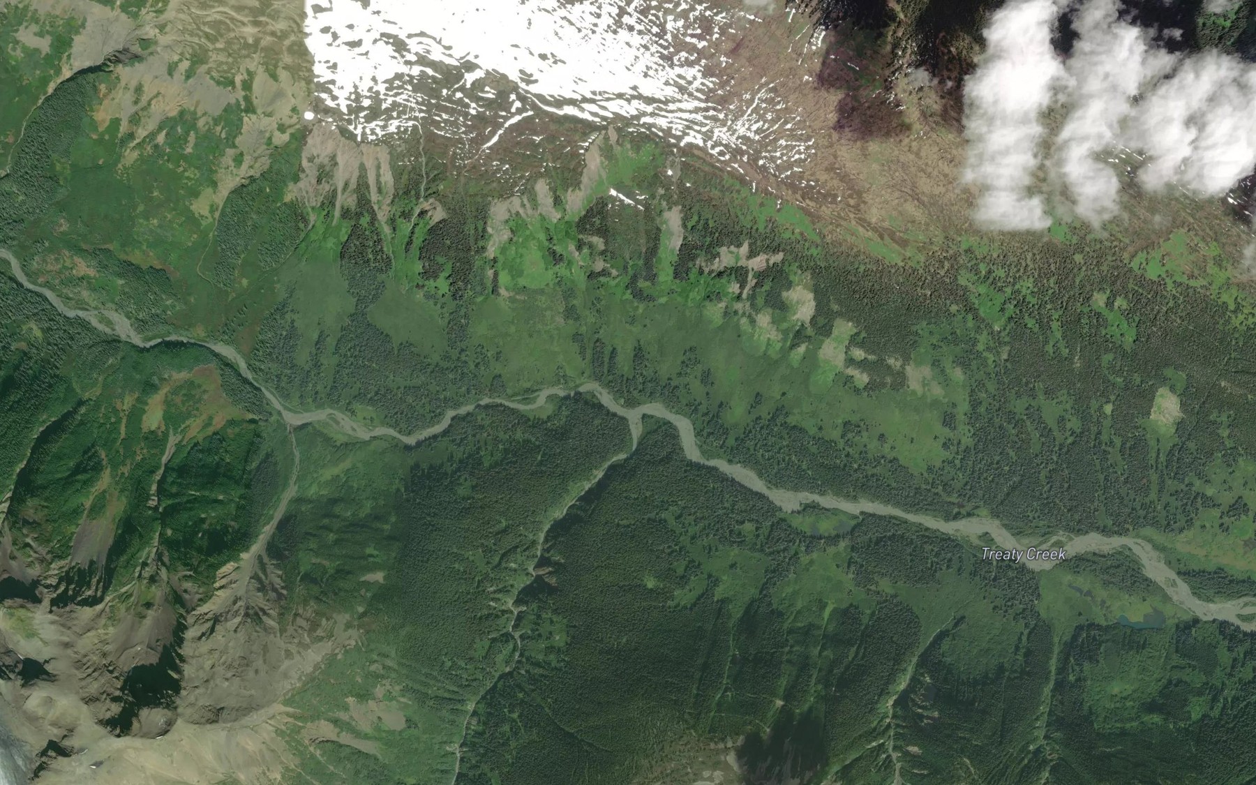 Satellite map of the Tim Williams Creek