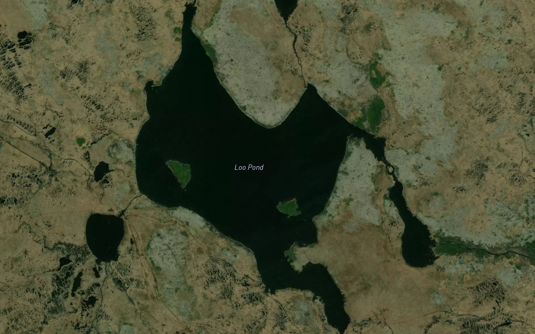 Satellite map of the Loo Pond