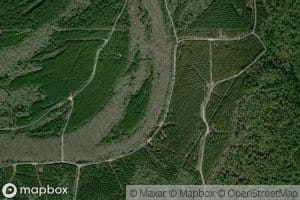 Maple Slough