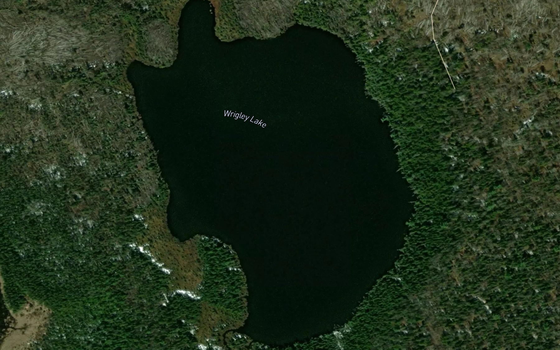 Satellite map of the Wrigley Lake