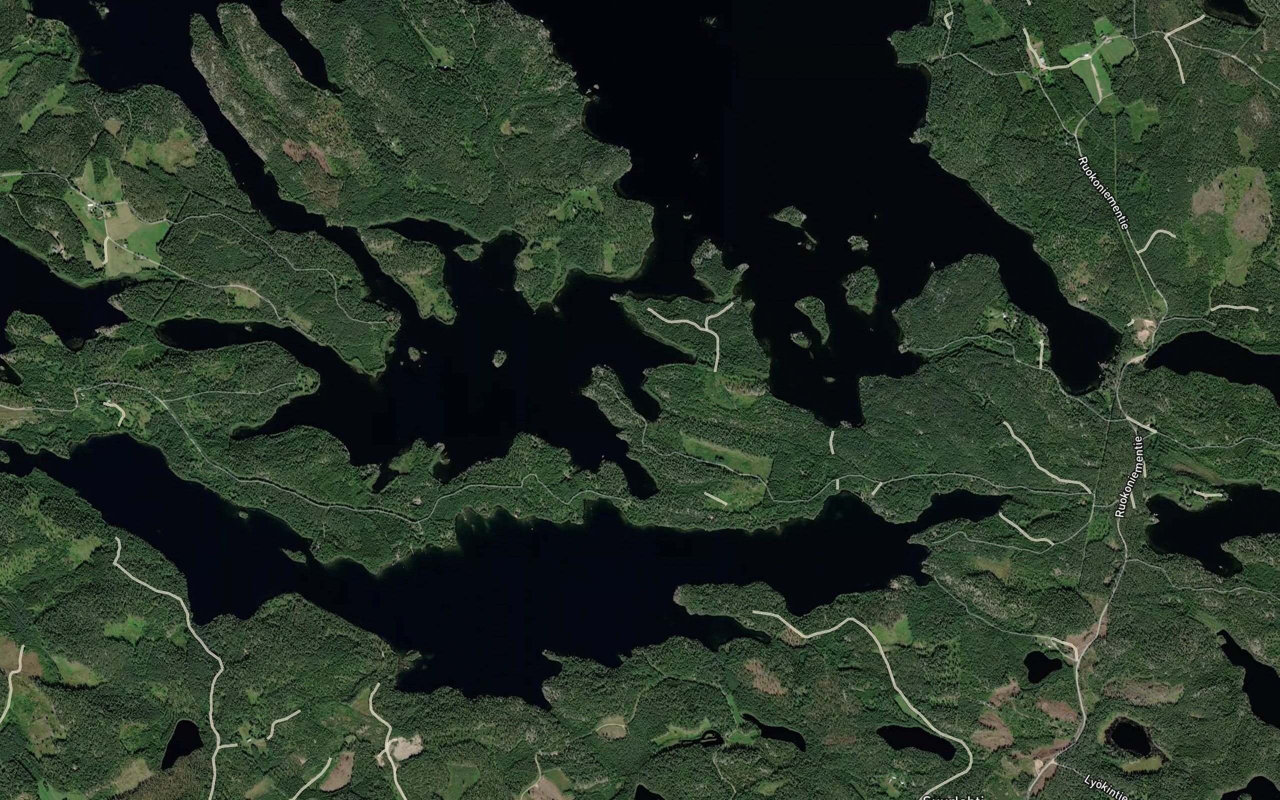 Haasialahti