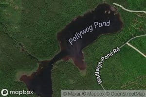 Pollywog Pond