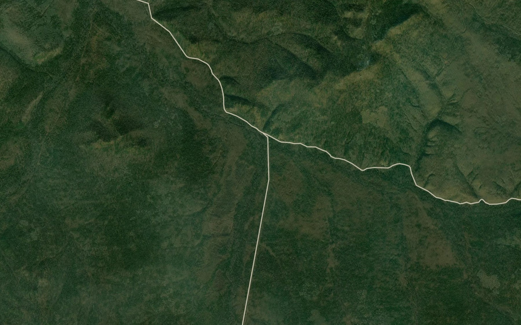 Satellite map of the Svetlyy