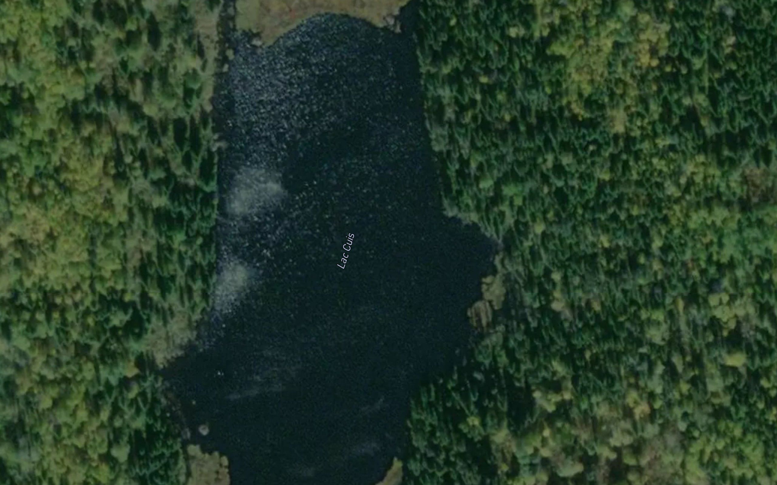 Lac Cuis