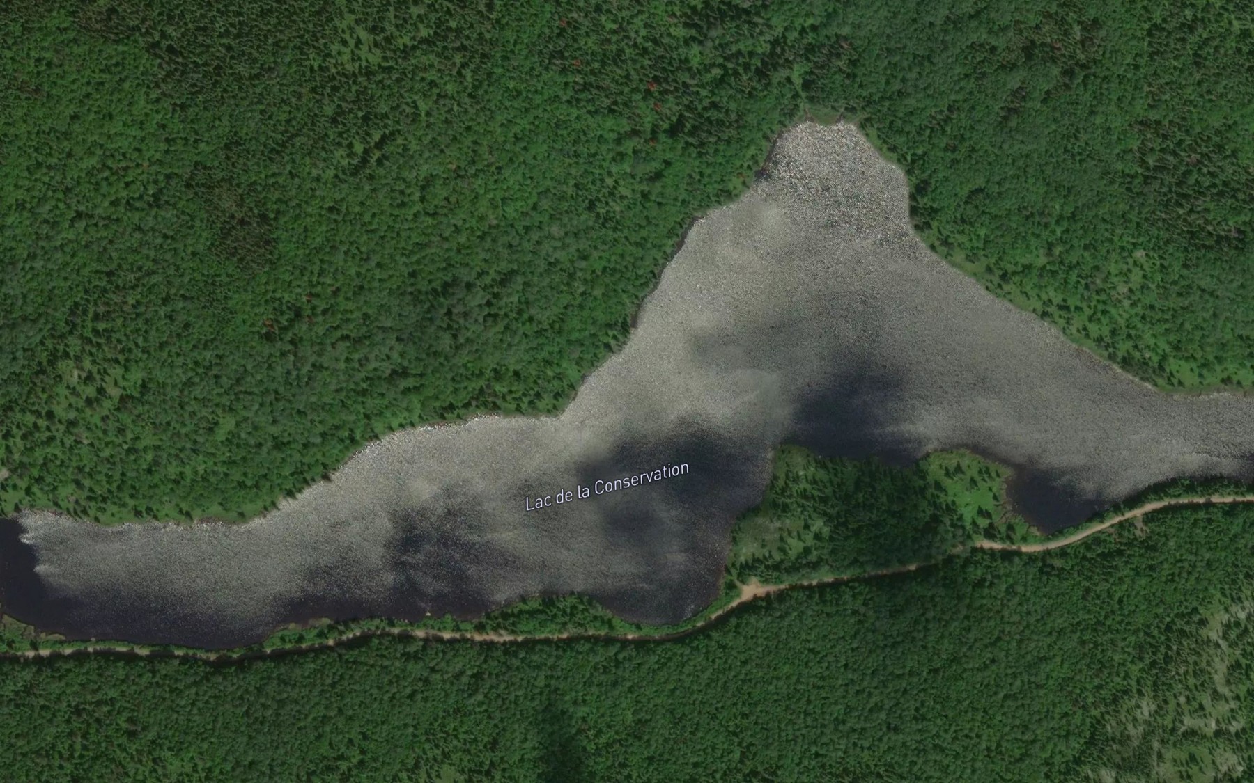 Satellite map of the Lac de la Conservation