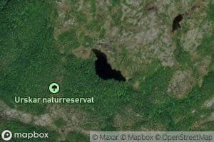 Storlivatnet