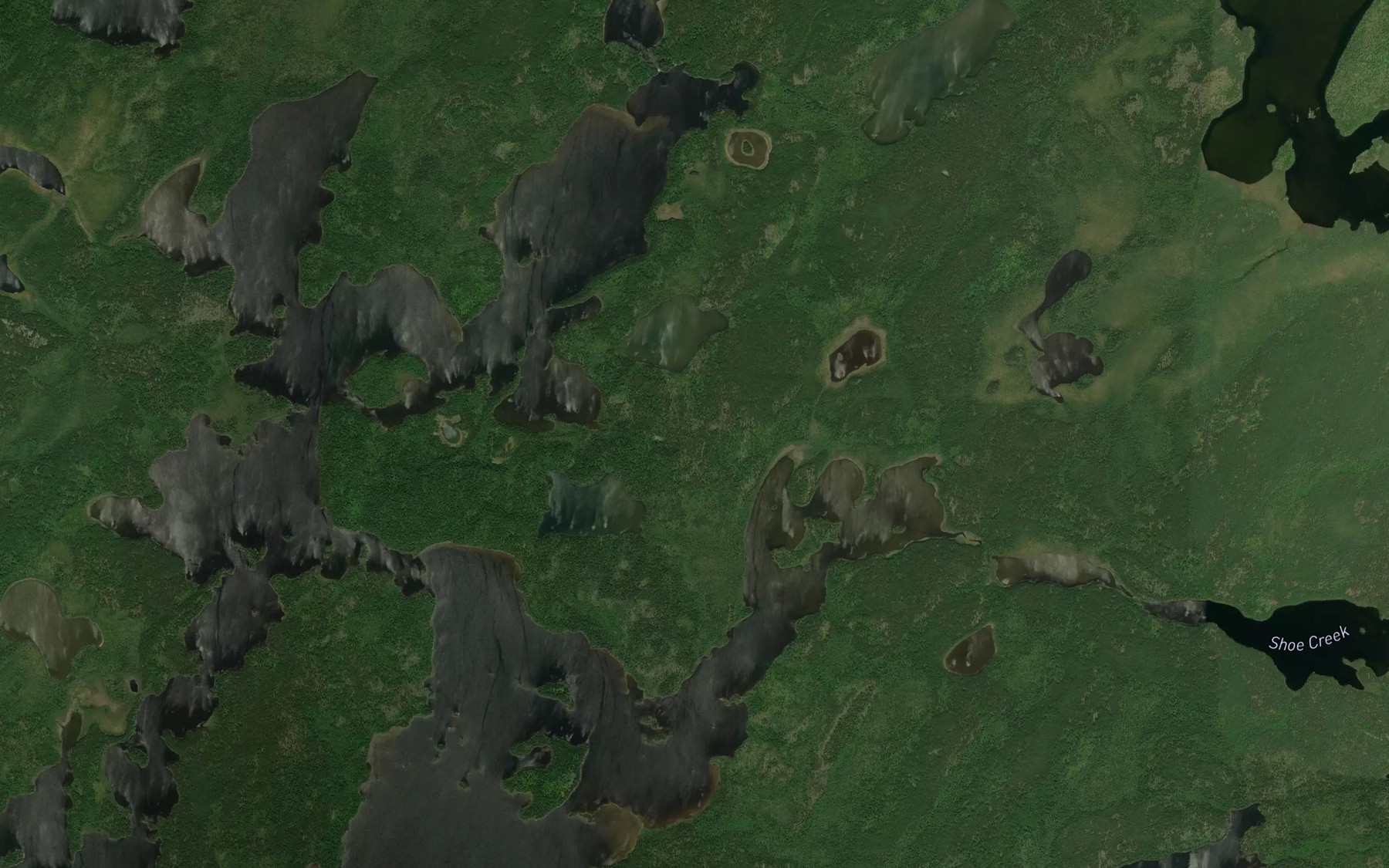 Satellite map of the Savant River